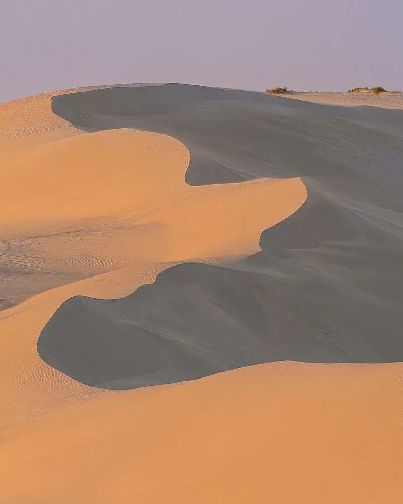 Namibia – co zobaczyć? Safari, pustynia