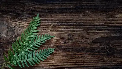 Jak rozjaśnić salon z ciemnymi meblami – praktyczne porady