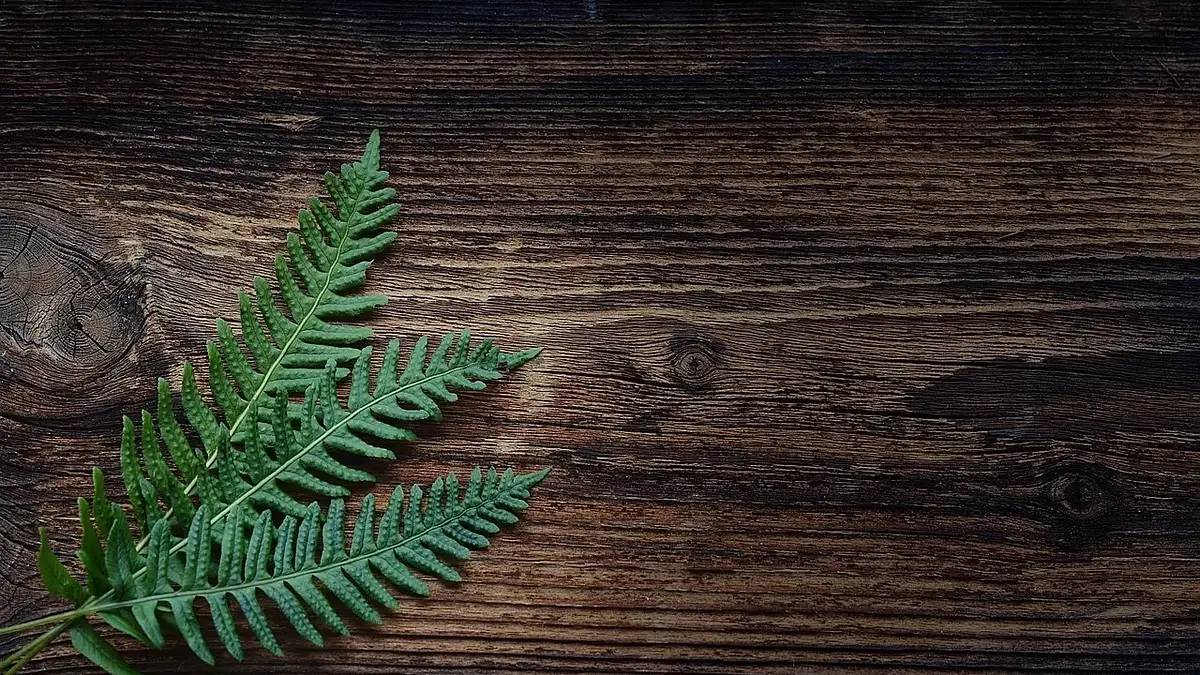 Jak rozjaśnić salon z ciemnymi meblami – praktyczne porady