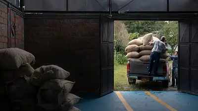 Pomysły na biznes na wsi 2026 – jak zacząć i odnieść sukces